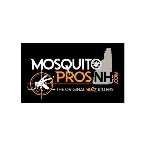 logo 13