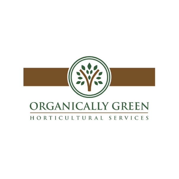 logo 17
