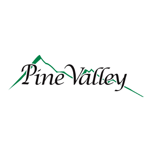 logo 21