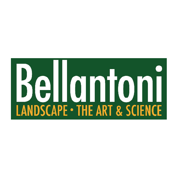 Bellantoni logo