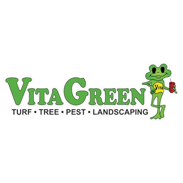 Vita Green